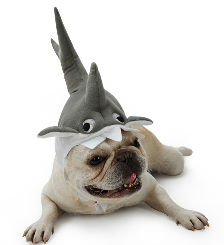 Funny Shark Pet Costume Hat 🦈