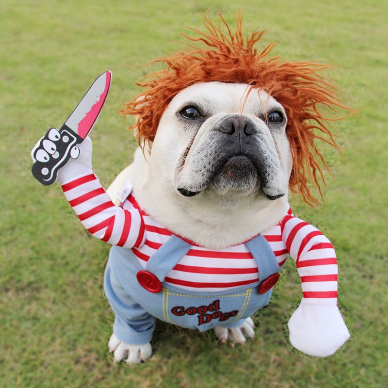 Killer Doll Dog Costume – Hilarious Halloween Pet Outfit
