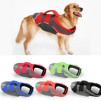 Dog Life Jacket – Adjustable Pet Flotation Vest 🐶🌊