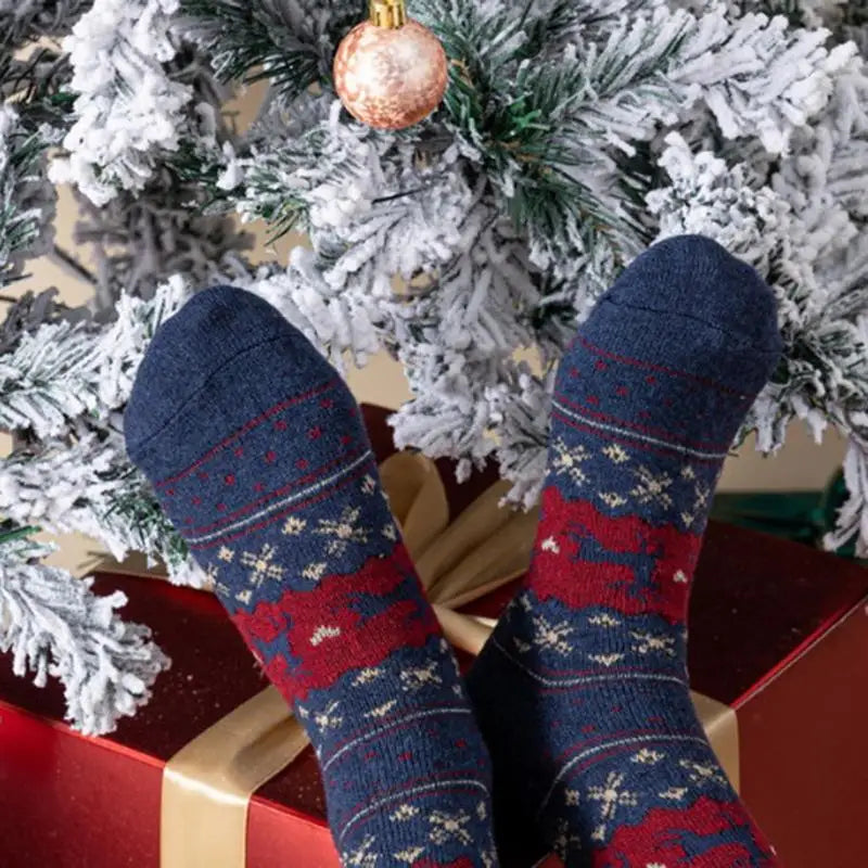 Festive Christmas Socks Gift Set – 5 Pairs 🎄